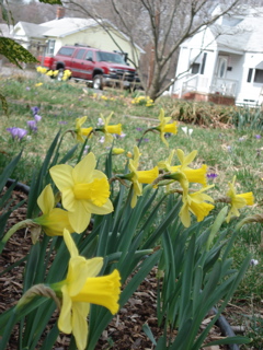 DSC00593.JPG