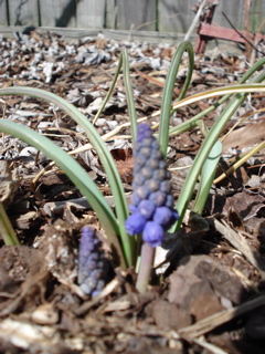 DSC00551.JPG