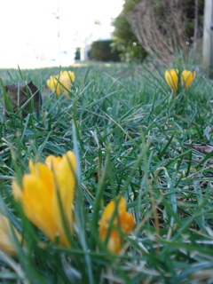 DSC00516.JPG