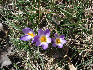 DSC00545.JPG