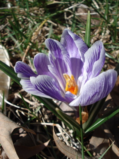 DSC00546.JPG