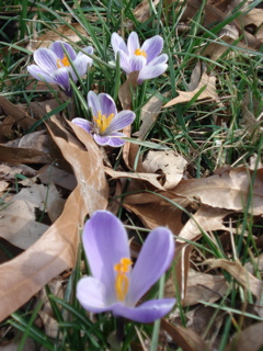 DSC00566.JPG
