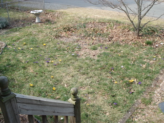 DSC00574.JPG