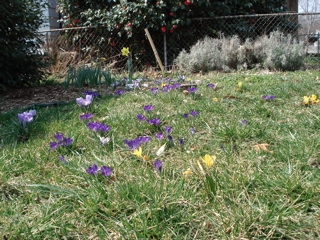 DSC00582.JPG