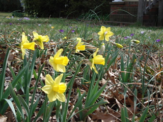 DSC00577.JPG