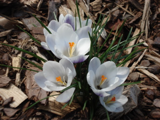 DSC00572.JPG