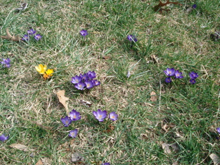DSC00569.JPG