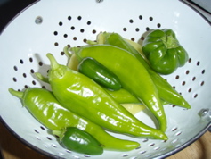 P7100018.JPG