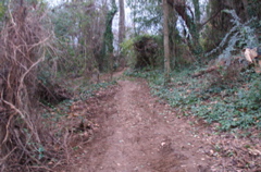 PICT0915.JPG