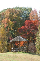 PICT1857.JPG