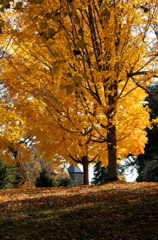 PICT1865.JPG