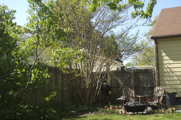 PICT3014.MRW