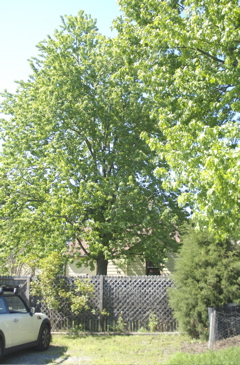 PICT3015.MRW