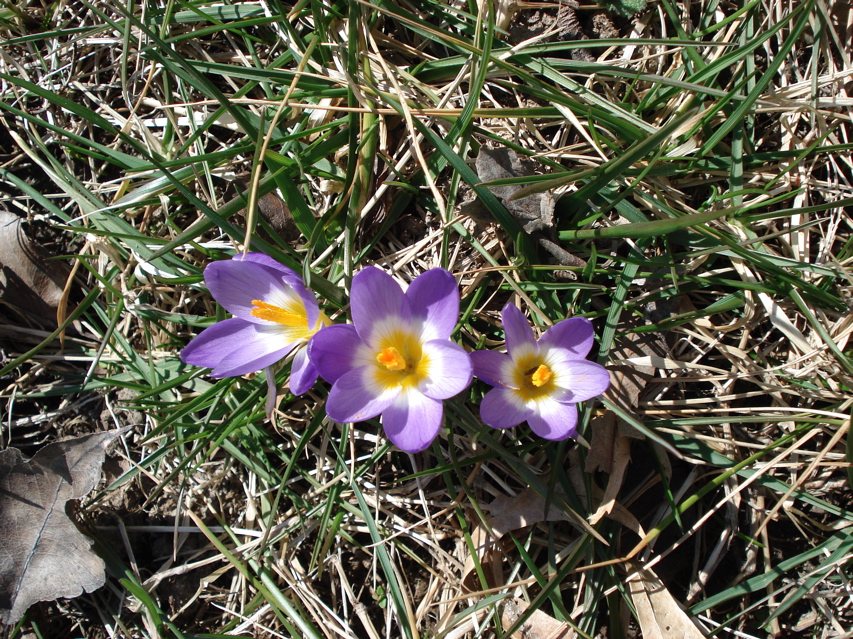 DSC00545.JPG