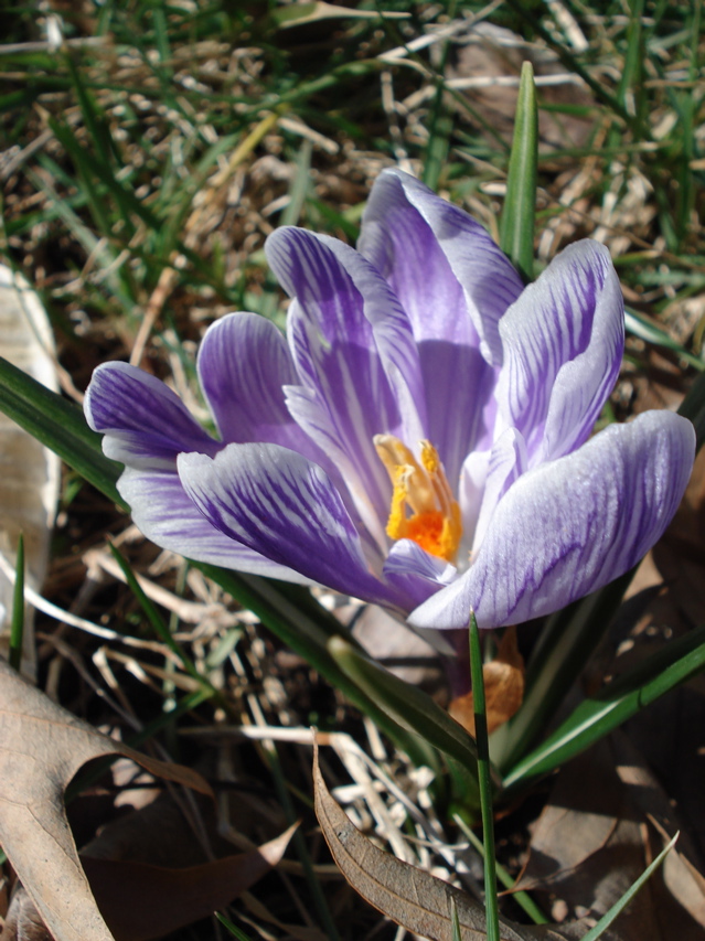 DSC00546.JPG