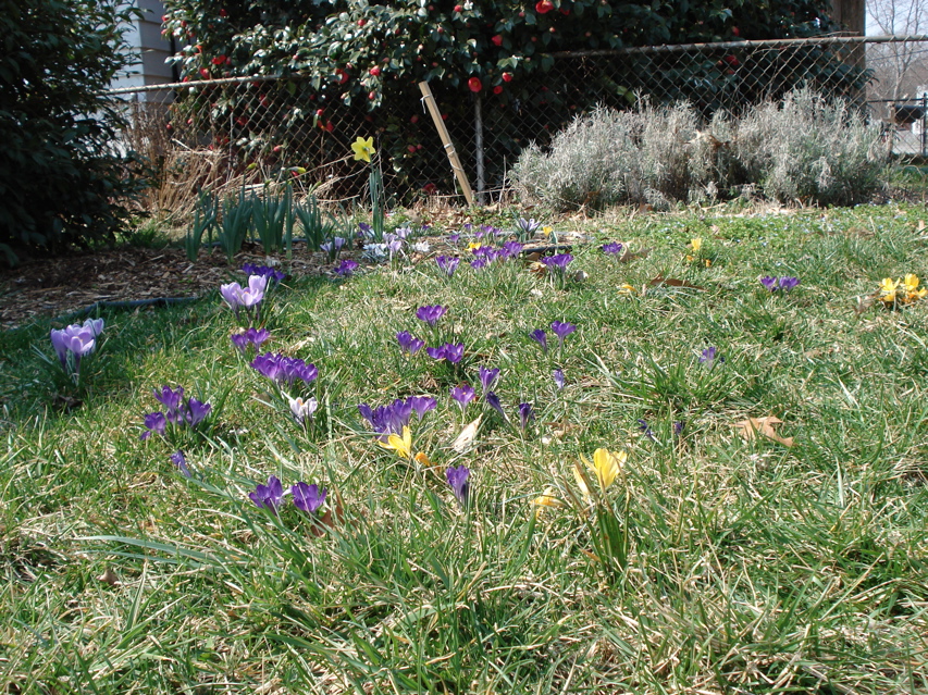 DSC00582.JPG