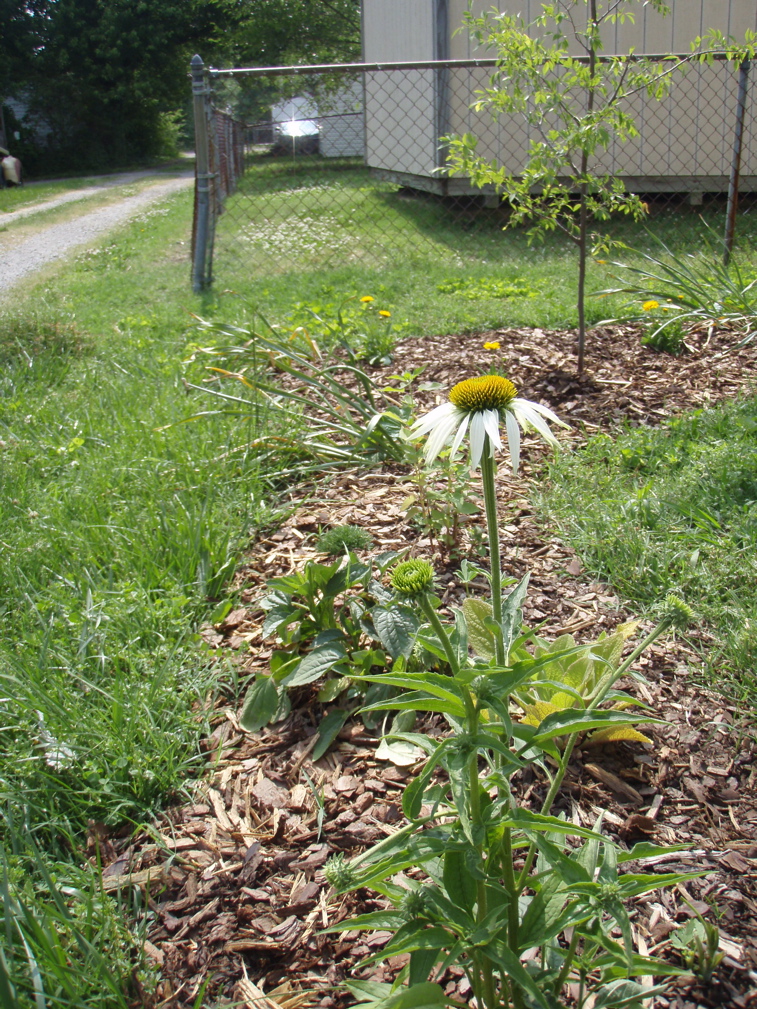 P5310003.JPG