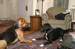 PICT0015.JPG