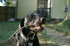 PICT0015.JPG