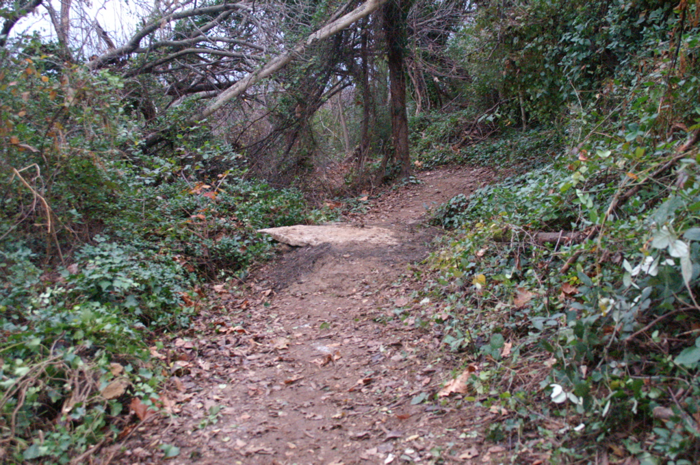 PICT0898.JPG
