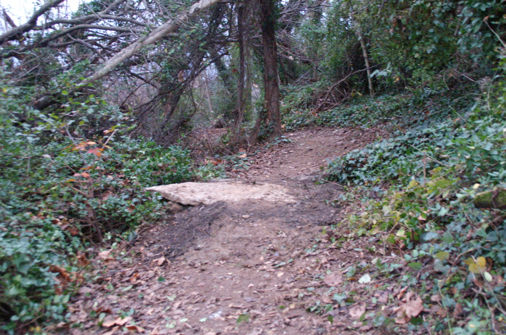 PICT0899.JPG