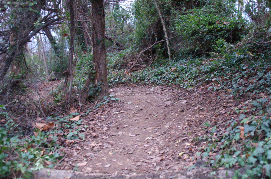 PICT0901.JPG