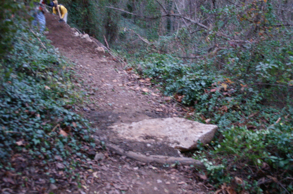 PICT0902.JPG