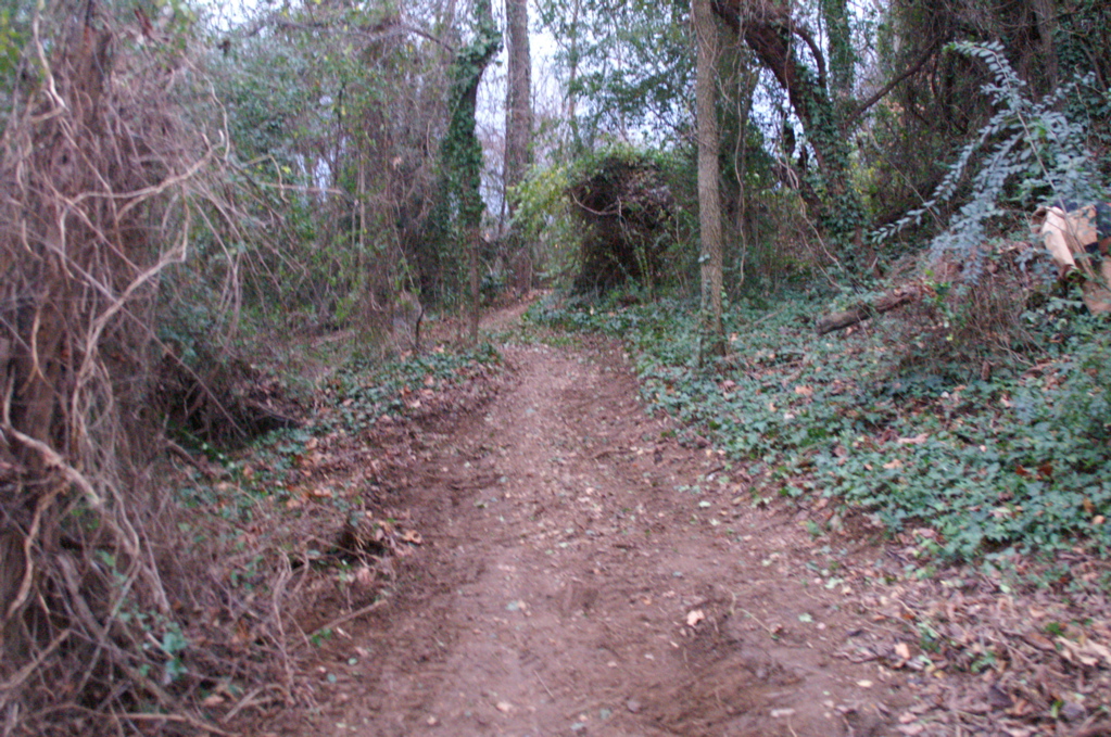 PICT0915.JPG