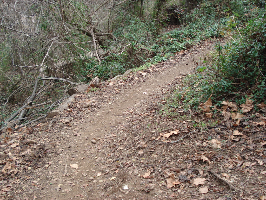 DSC00249.JPG