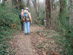 DSC00252.JPG