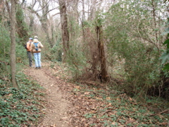 DSC00253.JPG
