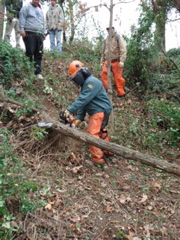 DSC00255.JPG