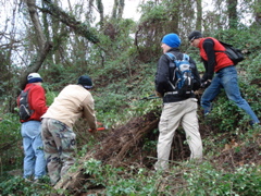 DSC00259.JPG