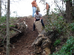 DSC00264.JPG