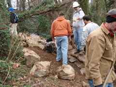 DSC00273.JPG