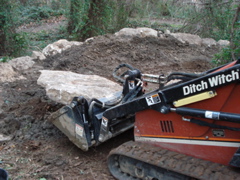 DSC00294.JPG