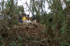 PICT0870.JPG
