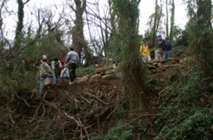 PICT0872.JPG