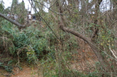 PICT0876.JPG