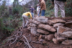 PICT0917.JPG