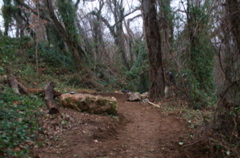PICT0888.JPG