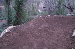 PICT0893.JPG