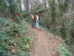 DSC00246.JPG