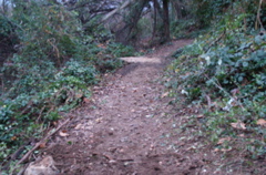 PICT0897.JPG