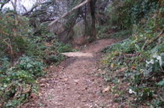 PICT0898.JPG