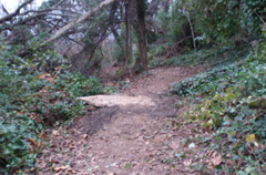 PICT0899.JPG
