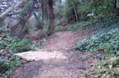 PICT0900.JPG