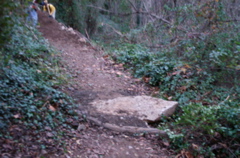 PICT0902.JPG