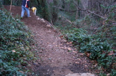 PICT0903.JPG