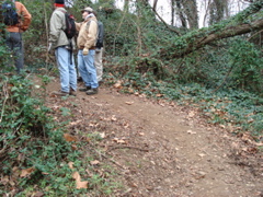 DSC00247.JPG